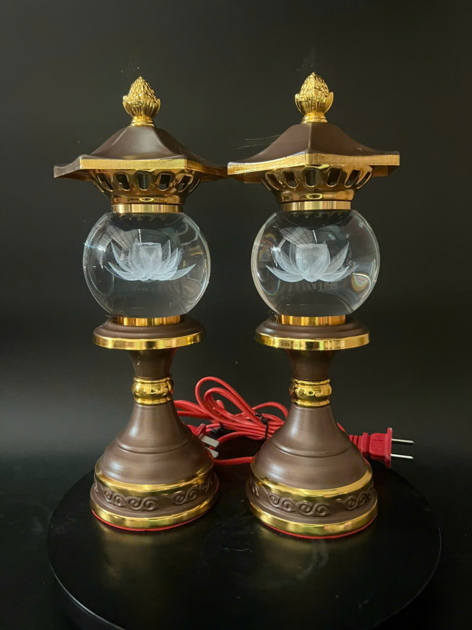 gia-si-bo-do-tho-cung