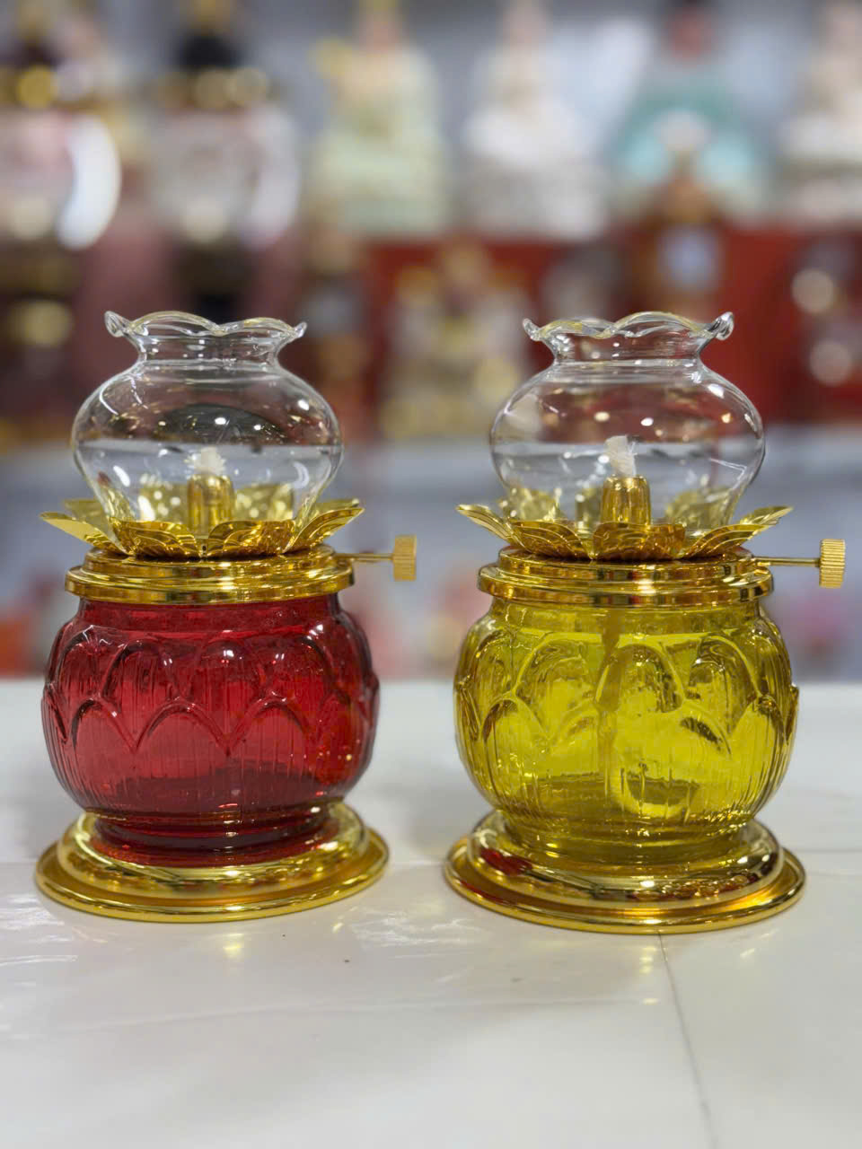 gia-si-bo-do-tho-cung