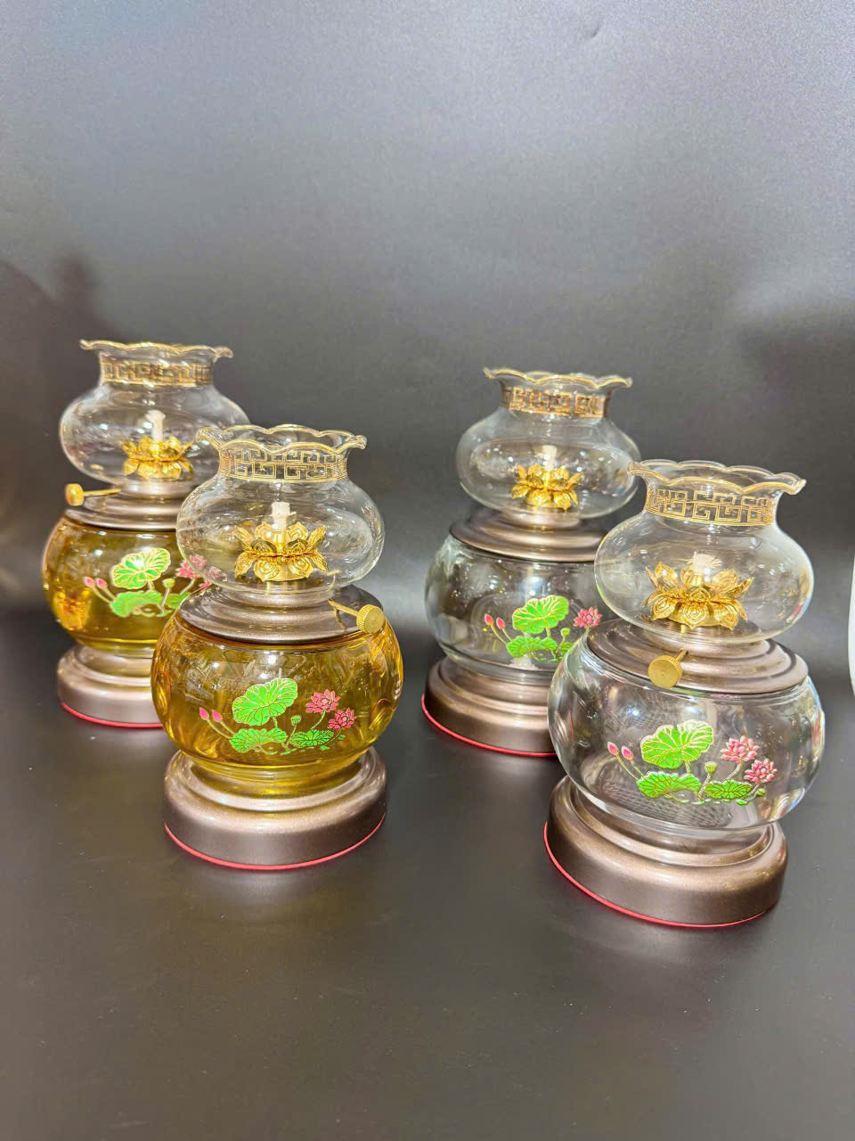 gia-si-bo-do-tho-cung